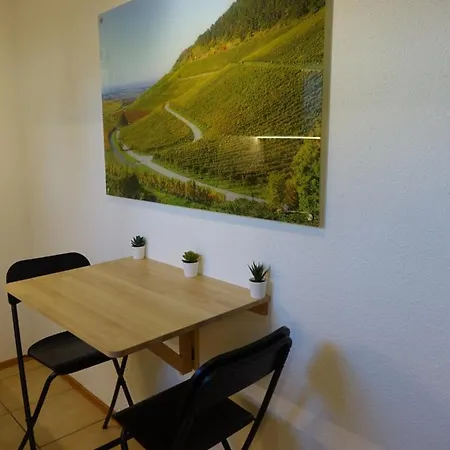 Exclusive Cozy In The Heart Of Franconia Apartment *